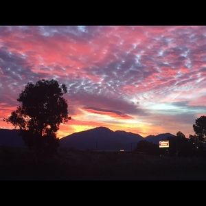 Meet your Posher, Sean